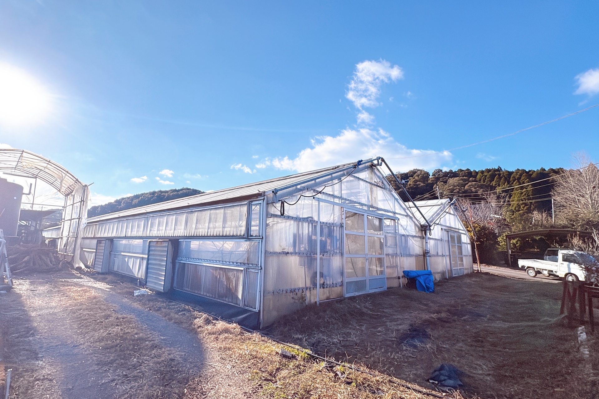 有限会社南原農園