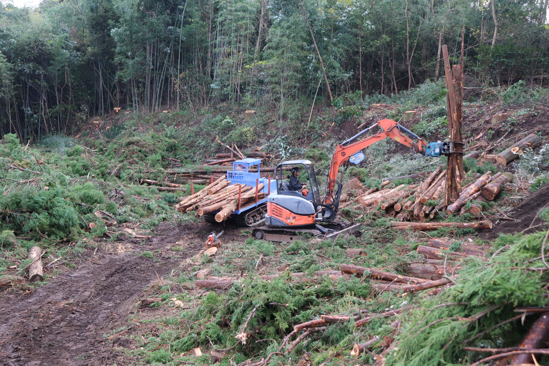 株式会社sowaka（ソワカ）