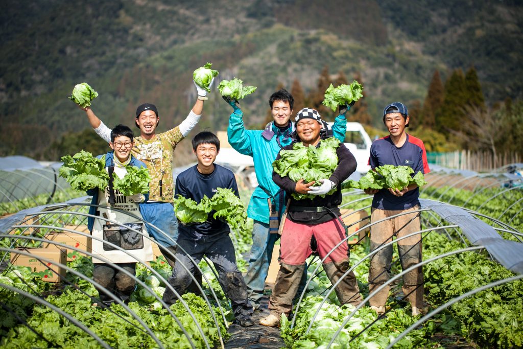 毎日変わる野菜や果物の価格と品質を見ながら、お客様に最適な商品を提案。知識が増えるほど面白くなる仕事