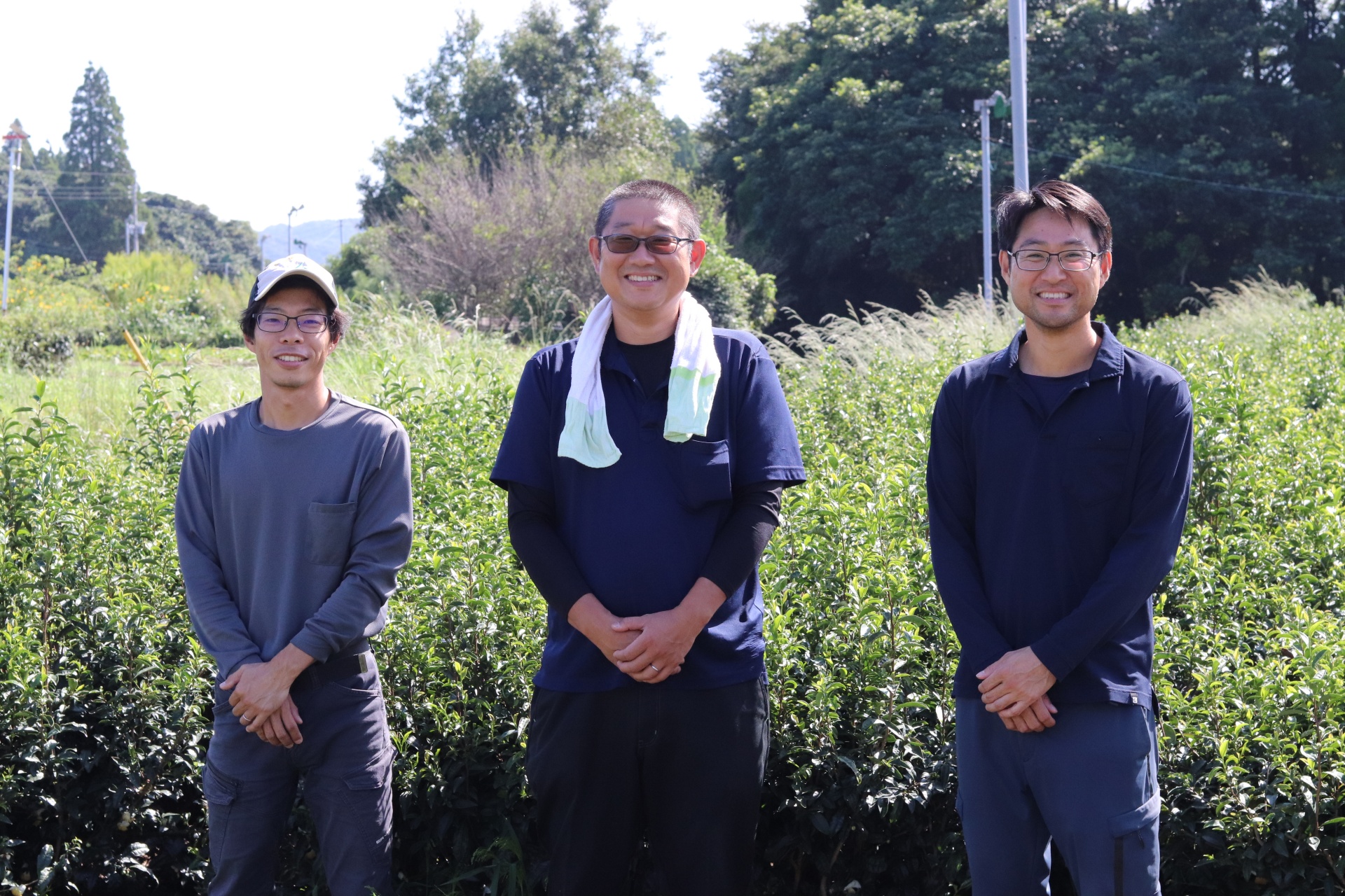 有限会社本坊製茶の求人