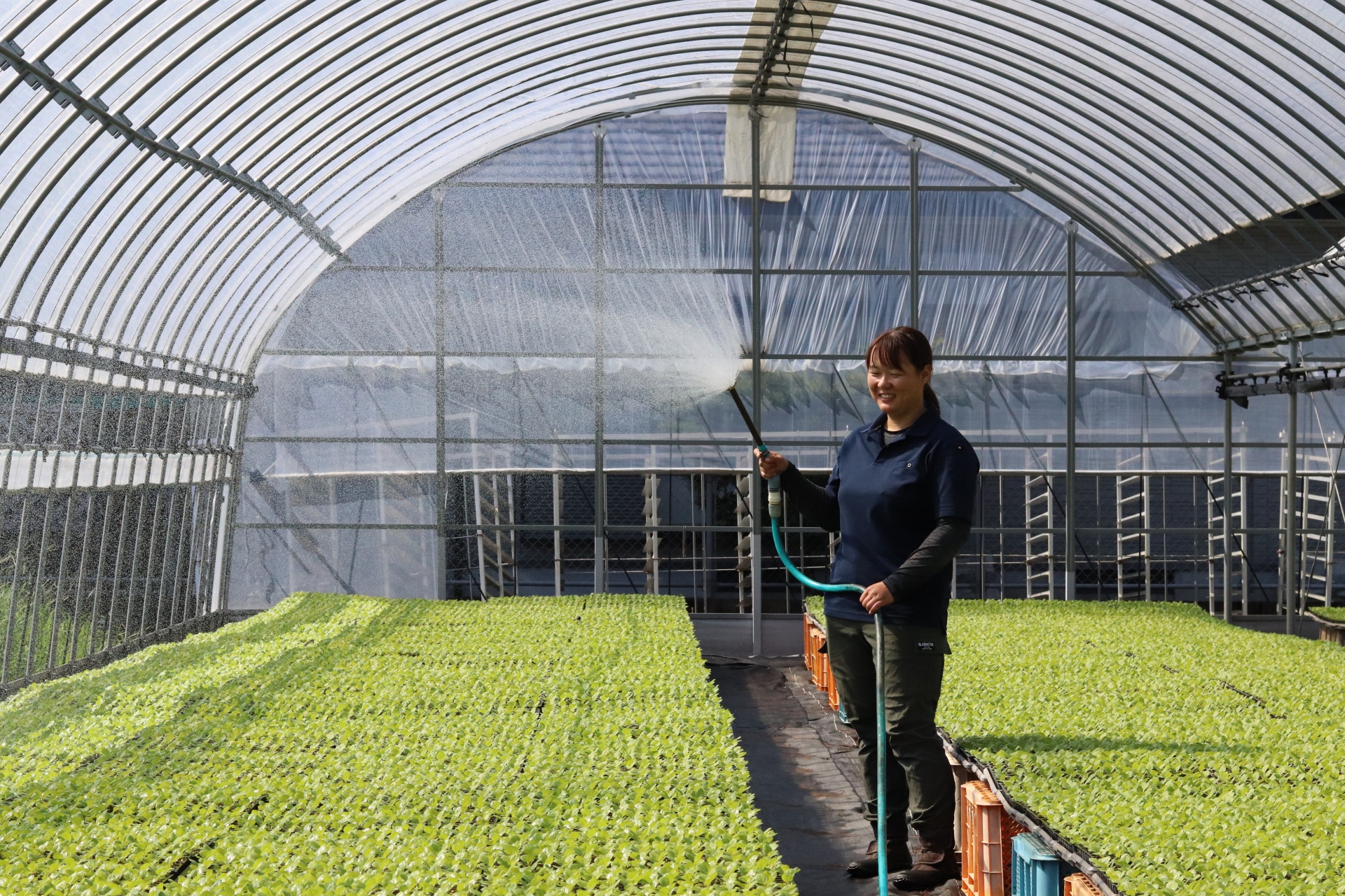 これまでの農業経験を活かして生産現場を支える