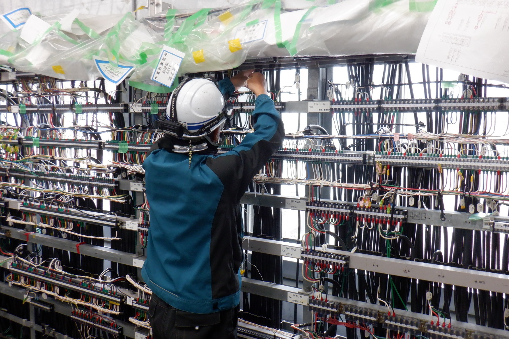 「仲間の存在と確かな成長」スタッフインタビュー