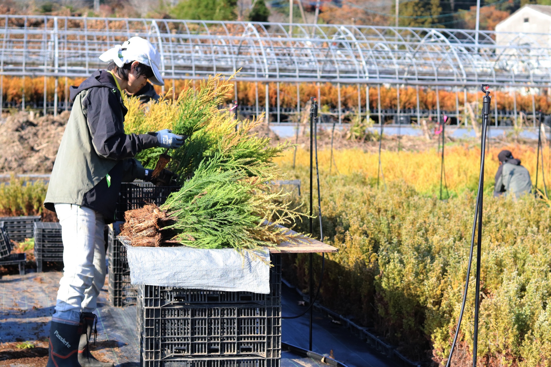 未経験から生産管理のプロフェッショナルになれます