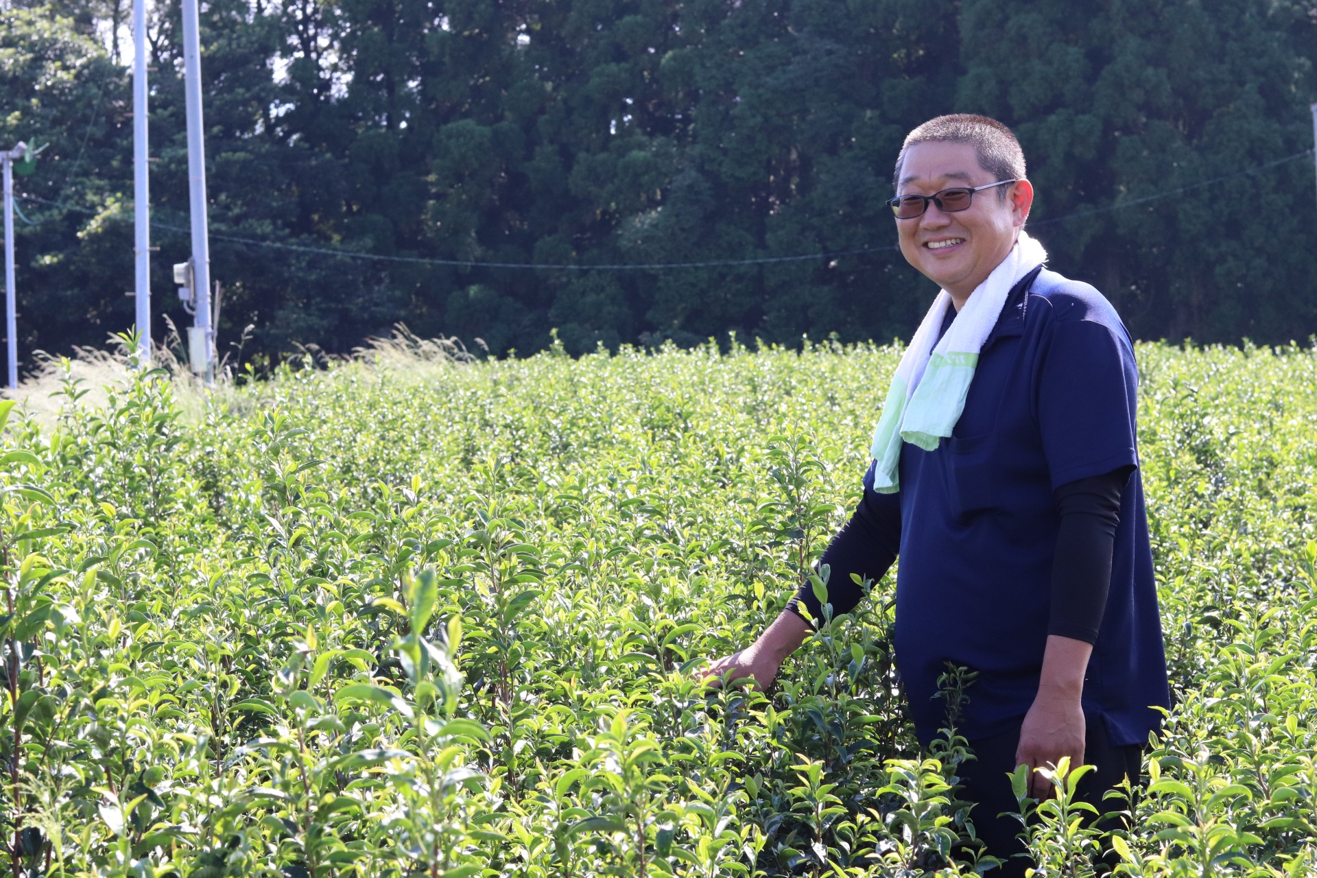 「一年を通してお茶の変化を感じてほしい」代表取締役