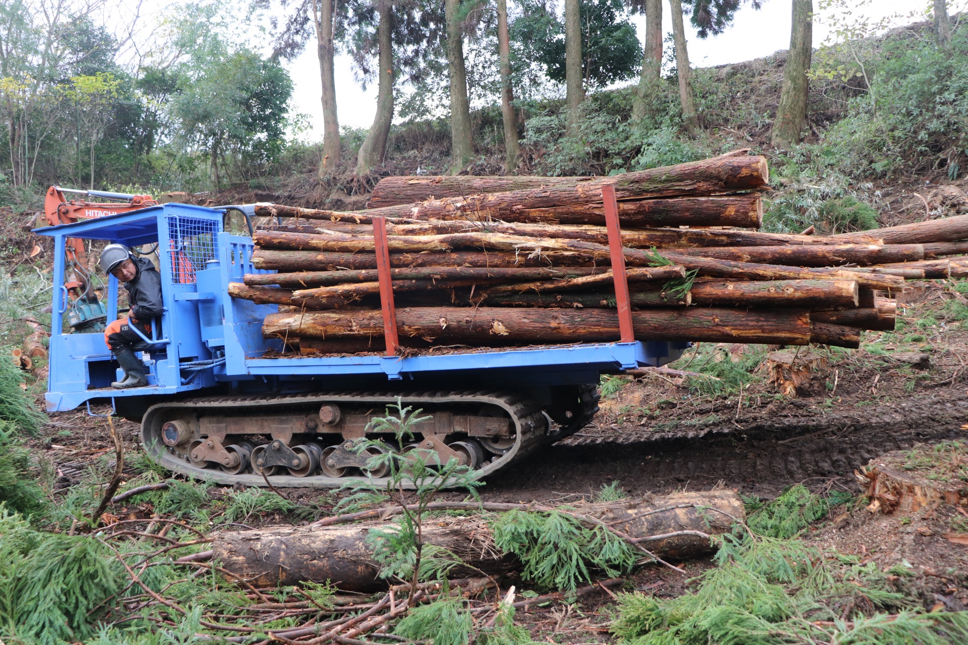 スタッフの声：仕事のやりがいについて