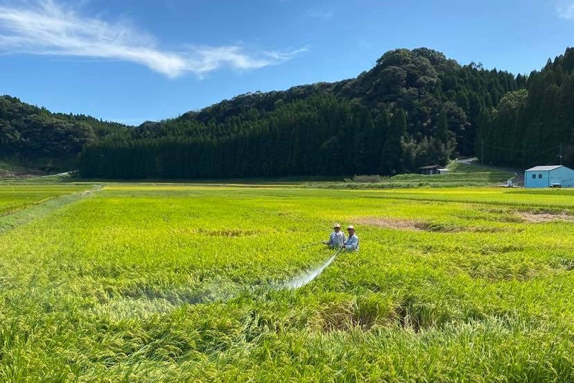 スマート農業のドローン市場は大きな可能性があります