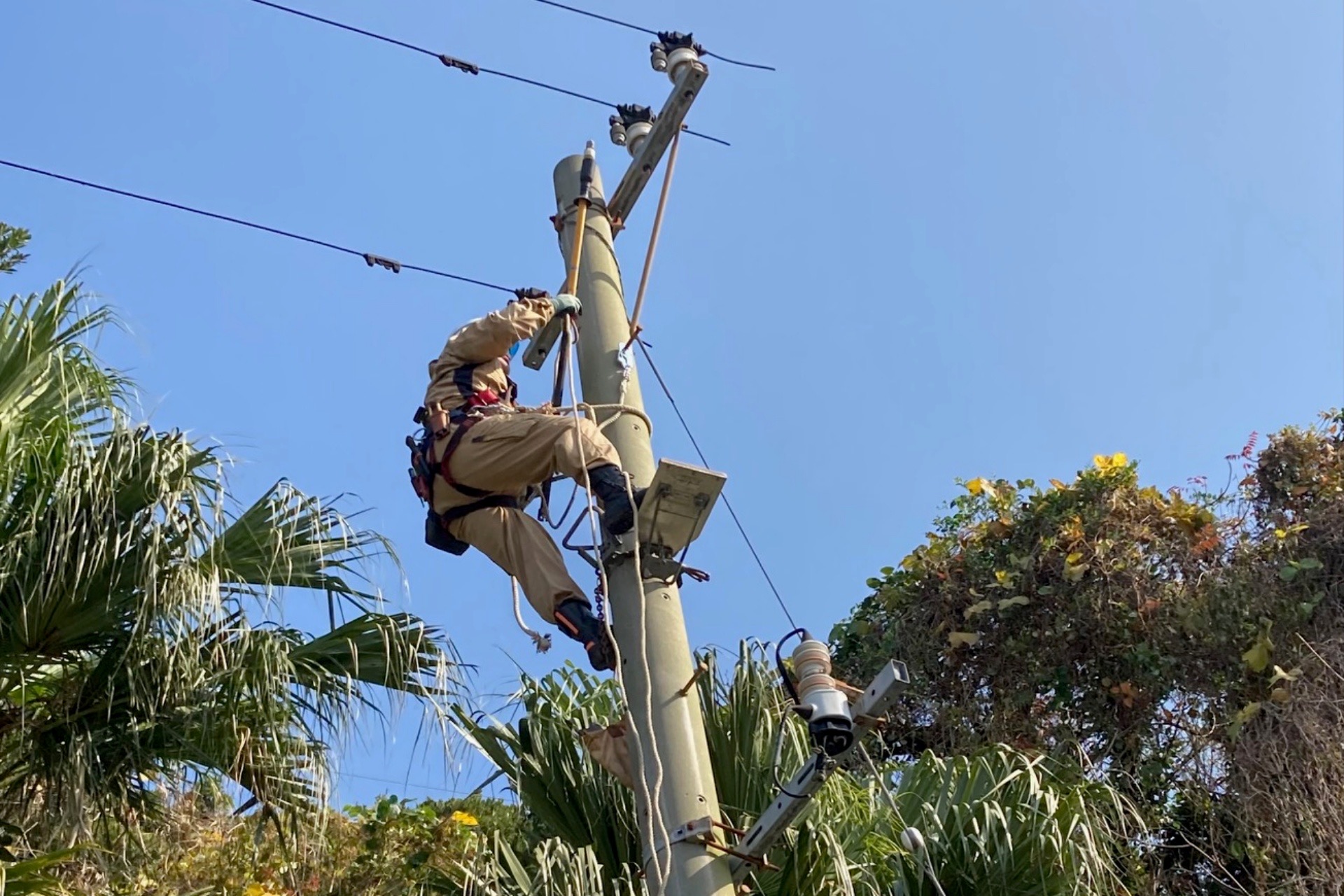 口永良部島の魅力をご紹介します