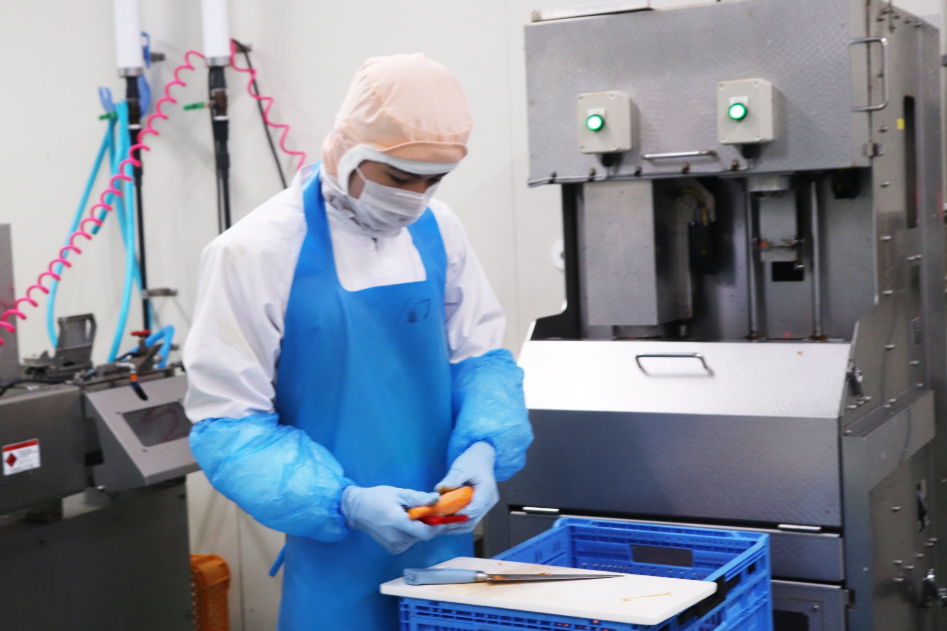 野菜を加工するシンプルな仕事