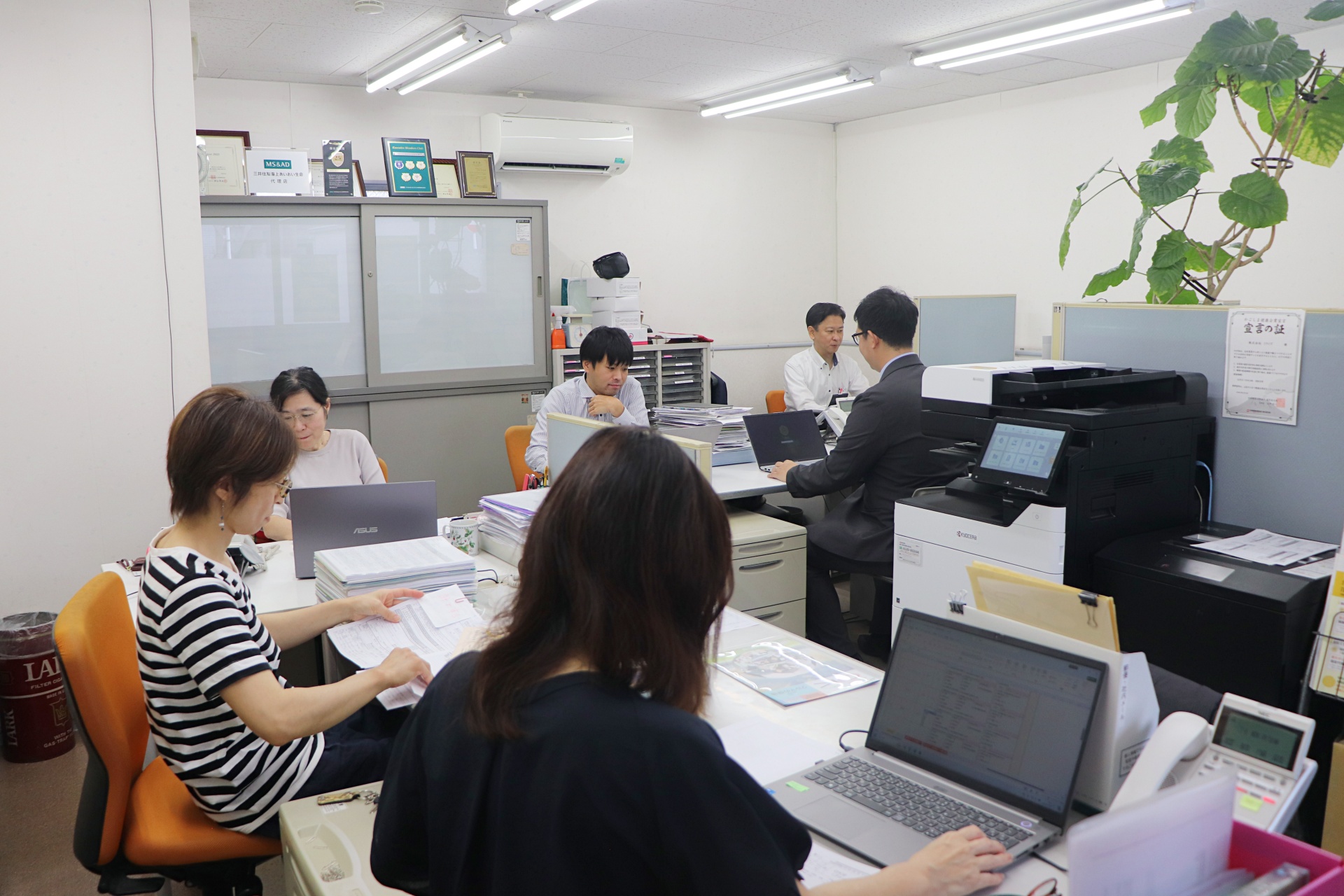 若返りを図るため、増員募集を行います
