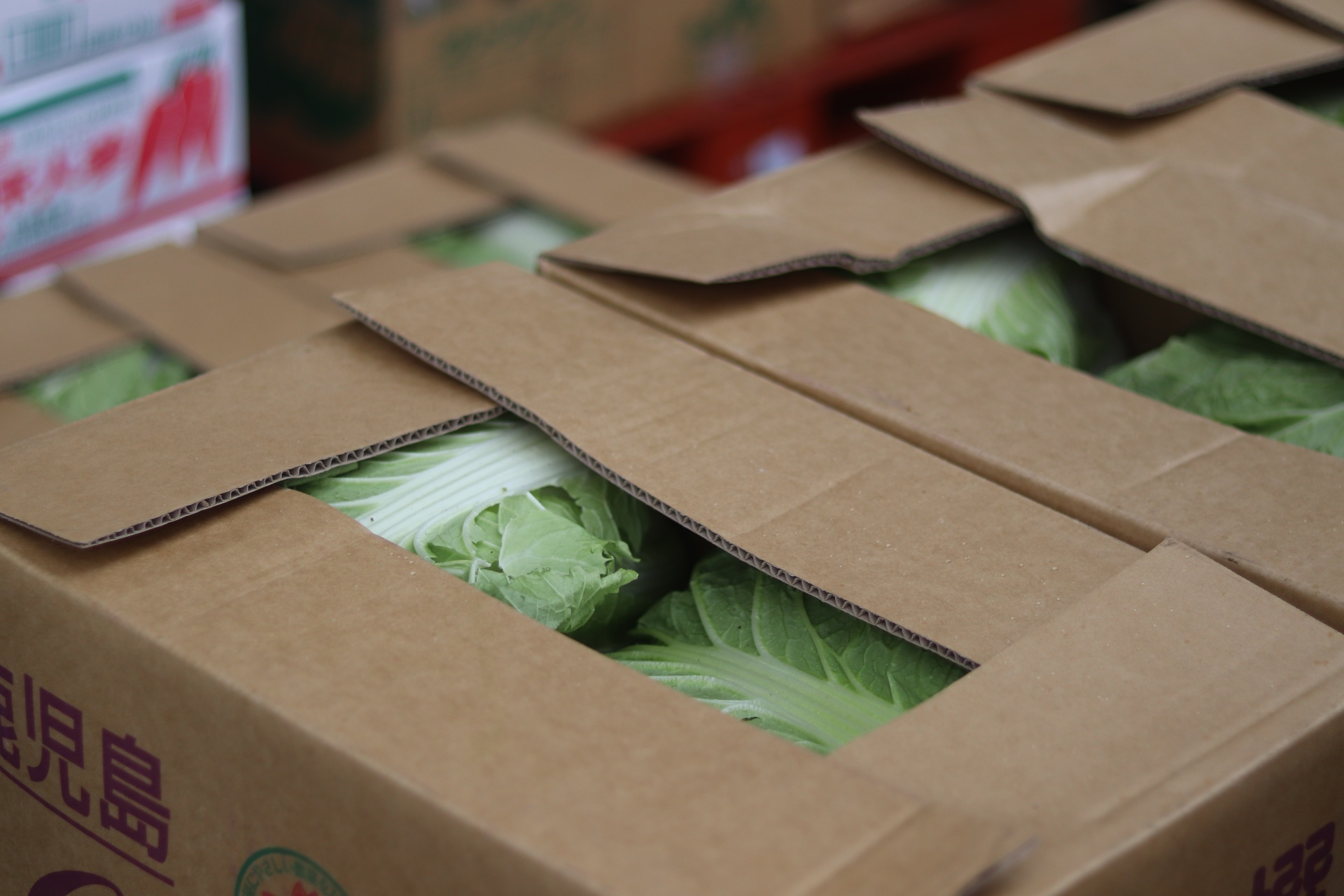 野菜を全国へ届ける仕事